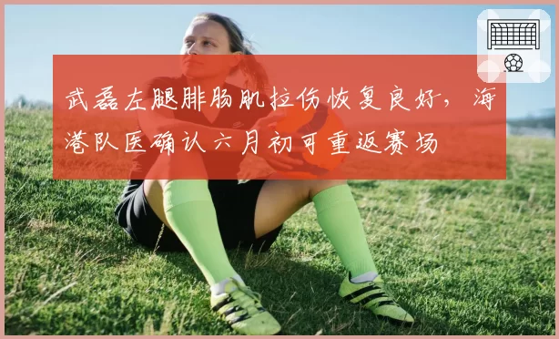武磊左腿腓肠肌拉伤恢复良好，海港队医确认六月初可重返赛场