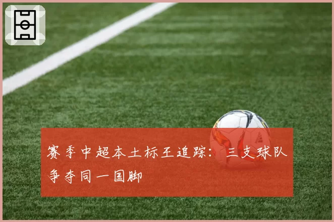 赛季中超本土标王追踪：三支球队争夺同一国脚