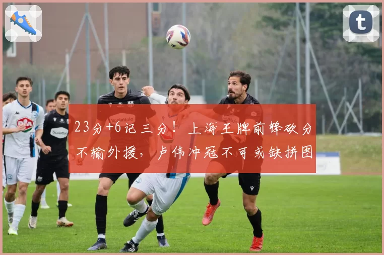 23分+6记三分！上海王牌前锋砍分不输外援，卢伟冲冠不可或缺拼图